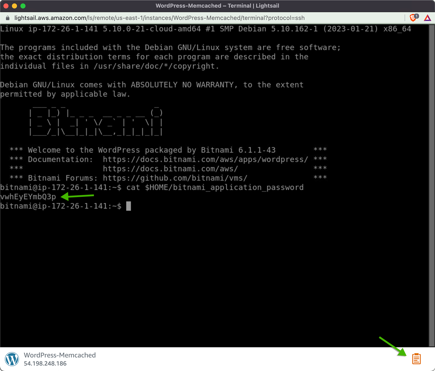 Screenshot of the Lightsail WordPress password in the in-browser terminal