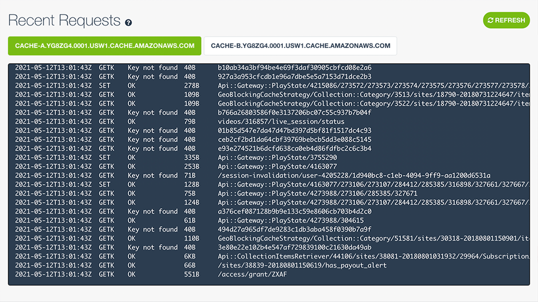 The Recent Requests cache introspection feature